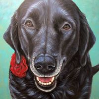 Terry Gellerman's profile image