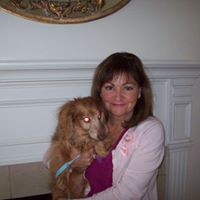 Maria Britti's profile image
