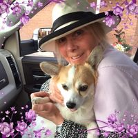 Liz Andrade's profile image