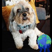 Vickye Dougrey's profile image