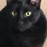 Penny Jackson's profile image