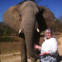 Jennifer Wilson Clark's profile image