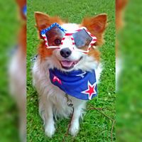 Michelle Gedman's profile image