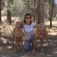 Karen Longobardi's profile image