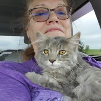 Joyce Britz's profile image