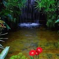 Carmen Johnson's profile image