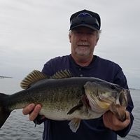 Bruce Floyd's profile image