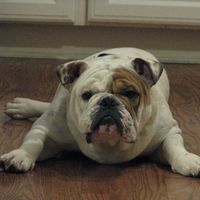 Beth Posson's profile image