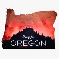 Sheri Nutter's profile image