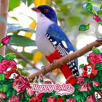 Ann Tidwell's profile image