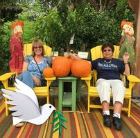 Pat Dougherty's profile image