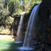 Carolyn Adams's profile image