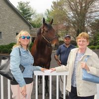 Elaine Gundersen Bueschen's profile image
