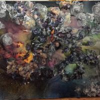 Marion Fran Mcmuldren's profile image