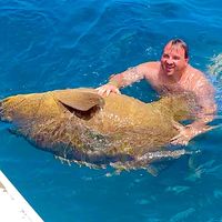 David Ford's profile image