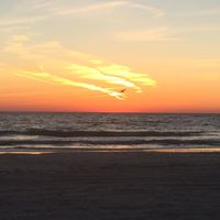 Tina J Cole's profile image