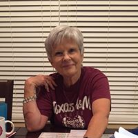 Carol Whipple Wilson's profile image