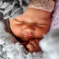 Betsy Corvers DeWindt's profile image