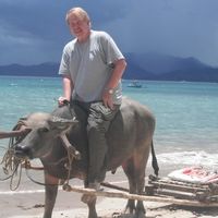 Herb Minnichhofer EA's profile image