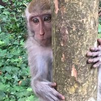 Judi Abrahamson's profile image