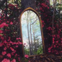 Tarrah Thacker's profile image
