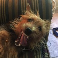 Bob Bascom's profile image