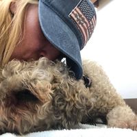 Lisa Lee's profile image