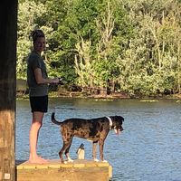 Lindsey Diez-Mathews's profile image