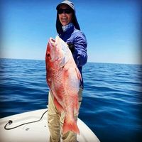 Kristi Johnson Purcell's profile image