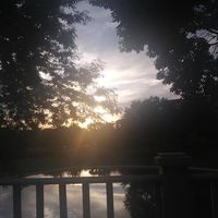 Michael Arnieri's profile image