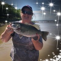 Judy Mann-Laster's profile image