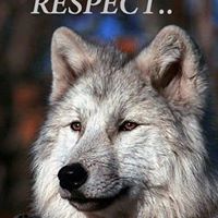 MaryEllen Forjone Hamill's profile image
