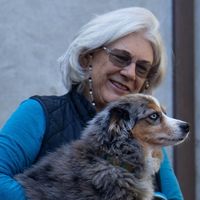 Sue Schuyler Marquis's profile image