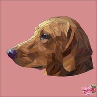 Debra Lum's profile image