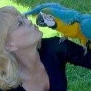Deena Martin's profile image