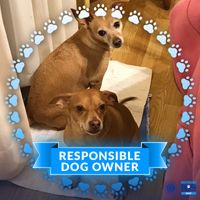 Elena Dawson's profile image