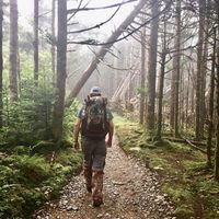 David Daum's profile image