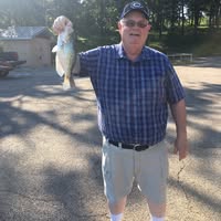 Russell Cook's profile image