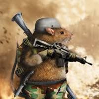 Ray Scarpa's profile image