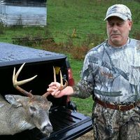 Pat Parah's profile image