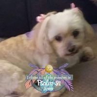 Cheryl Garber Celentano's profile image