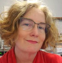 Ashley Galyean Campbell's profile image