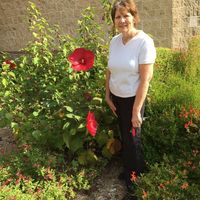 Sandy Phillips Schwausch's profile image