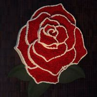 Sandy Pfersich's profile image