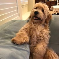 Cathy Bruno's profile image