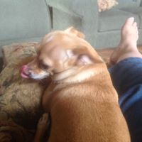 Glenn Heimbigner's profile image