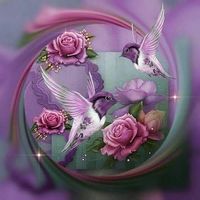 Diane Wood's profile image