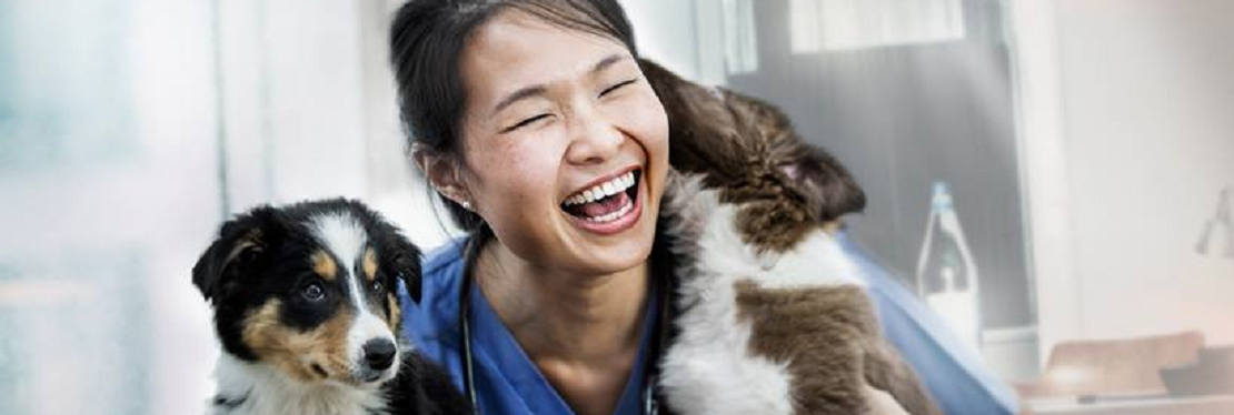 Three Creeks Veterinary Clinic – Urgent Care's cover image