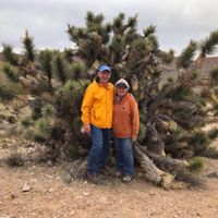 Carolyn Brecke's profile image