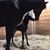 Christine Vedros's profile image
